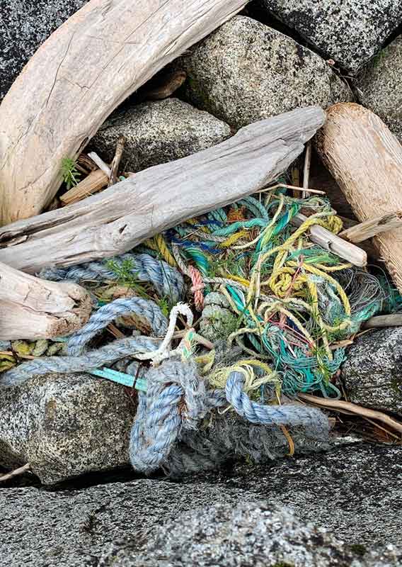 a tangle of marine ropes in driftwood and rocks