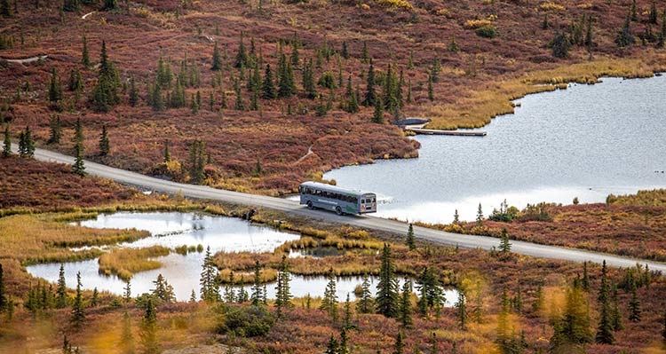 A bus drives along a road between small ponds and tundra landscape.