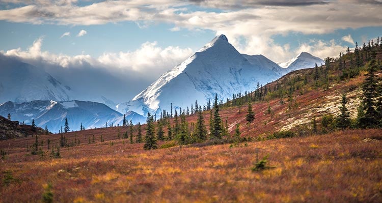 A view across tundra towards snow-covered mountains.