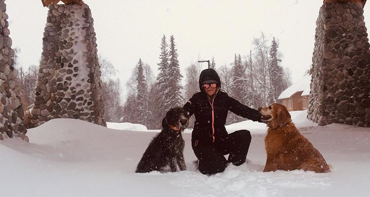 A person sits on a snowy driveway with two dogs.