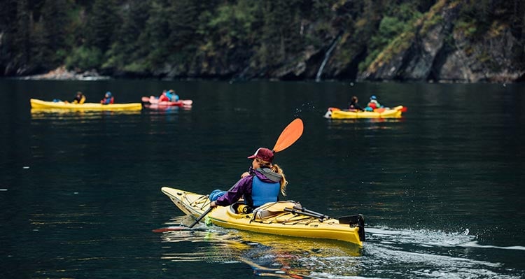 A kayaker paddles in the sea near a forested shore.