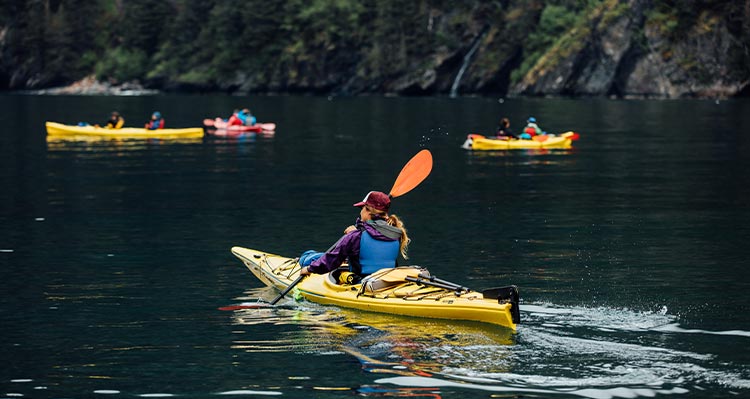 A person kayaks on water near a forested shore.