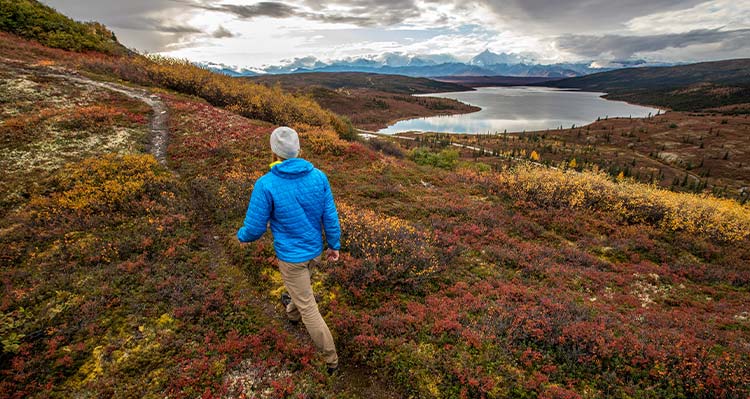 A person walks across a tundra landscape.