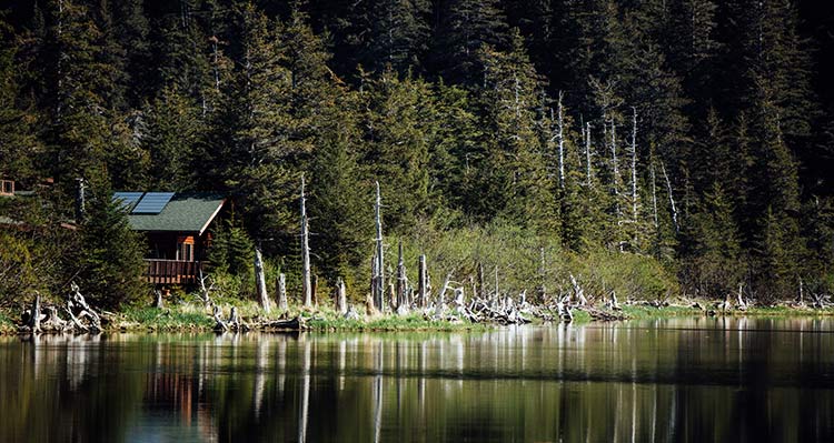 A cabin nestled between trees and the sea.