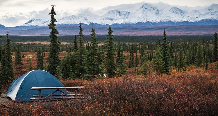 A tent sits in a camping spot with trees, mountains and red bushes behind.