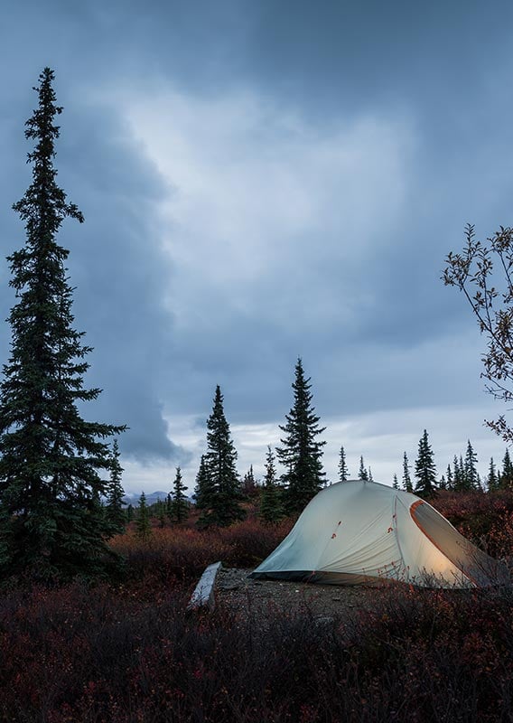 A tent sits on a camping spot at night, the tent lit up with a flash light, trees behind.