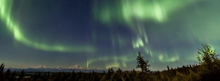 Green northern lights light up the night sky.