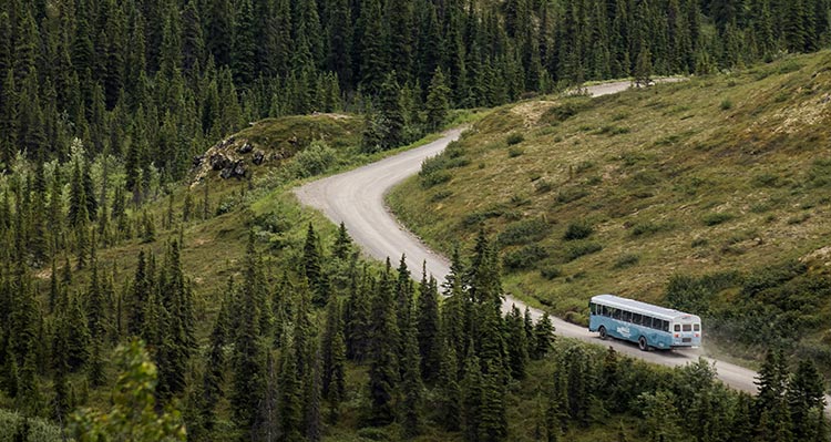 A bus drives down a gravel road, surrounded by forest.