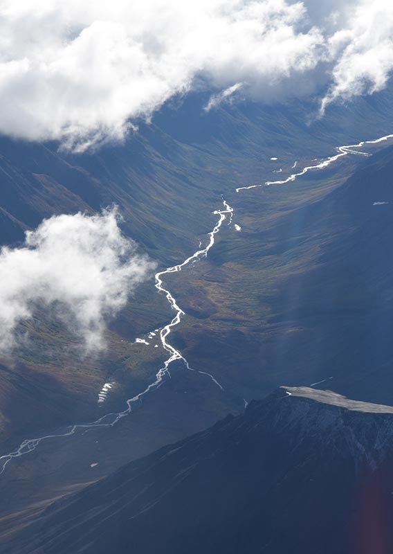 Denali Landscape