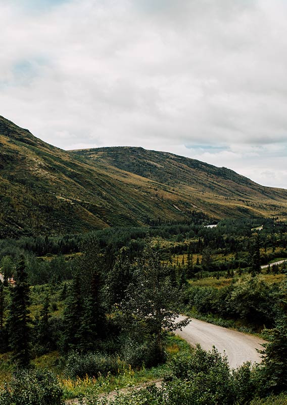 Green hills with grass and trees is cut through with an empty road.