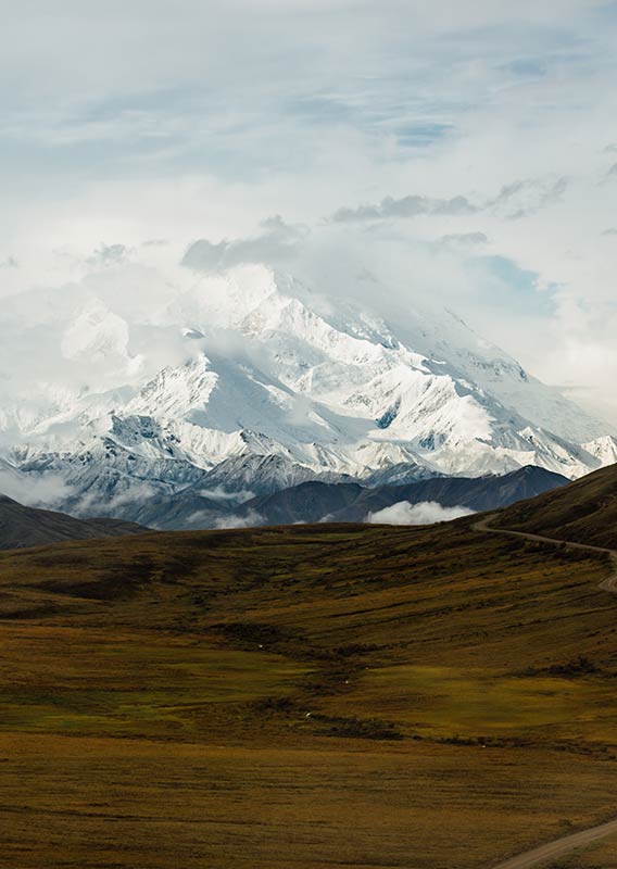 A long road cuts through a grassy vista, with a white mountain range in the background.