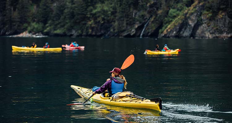 People in yellow kayaks on the water.