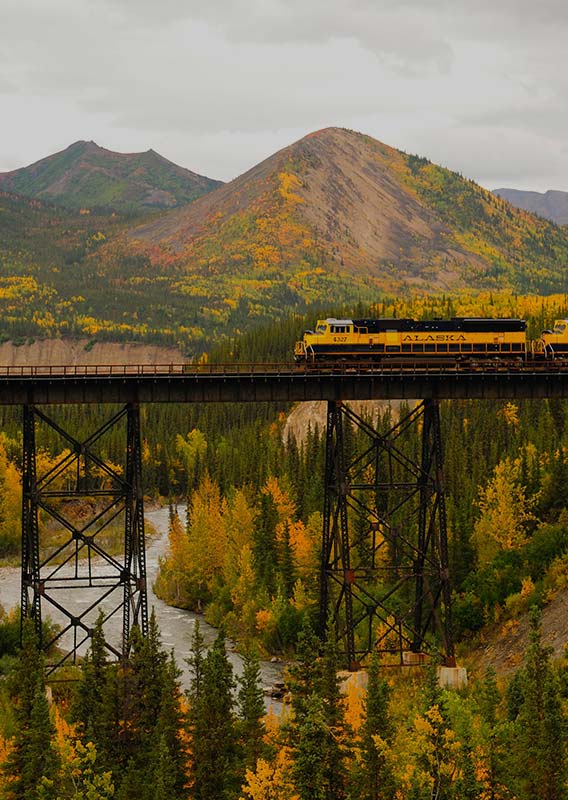 A train travels on an trestle bridge over a river in a deep valley.