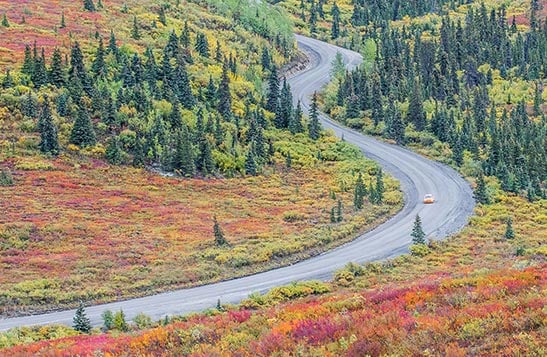 A bus drives down a remote road in sparsely treed terrain and snow covered mountains in the distance