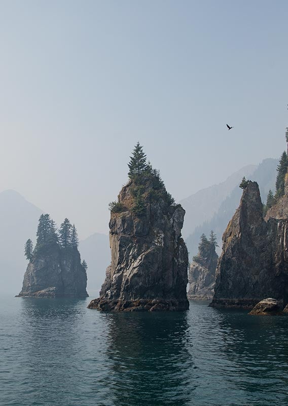 A view of rocky pillars coming out of the sea.