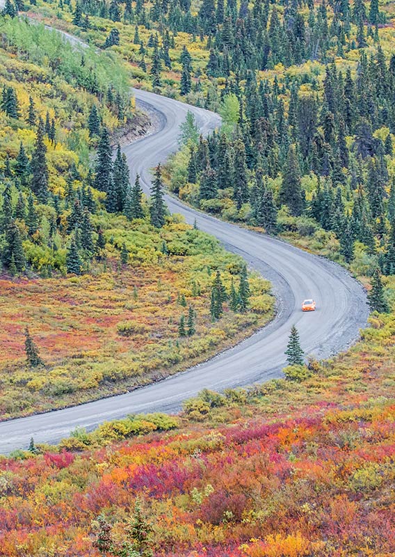 A lone car drives on a highway surrounded by multicolored trees and shrubs. 