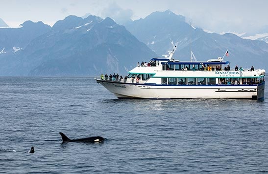 A boat is docked at the secluded Kenai Fjords Wilderness Lodge around steep forested hills