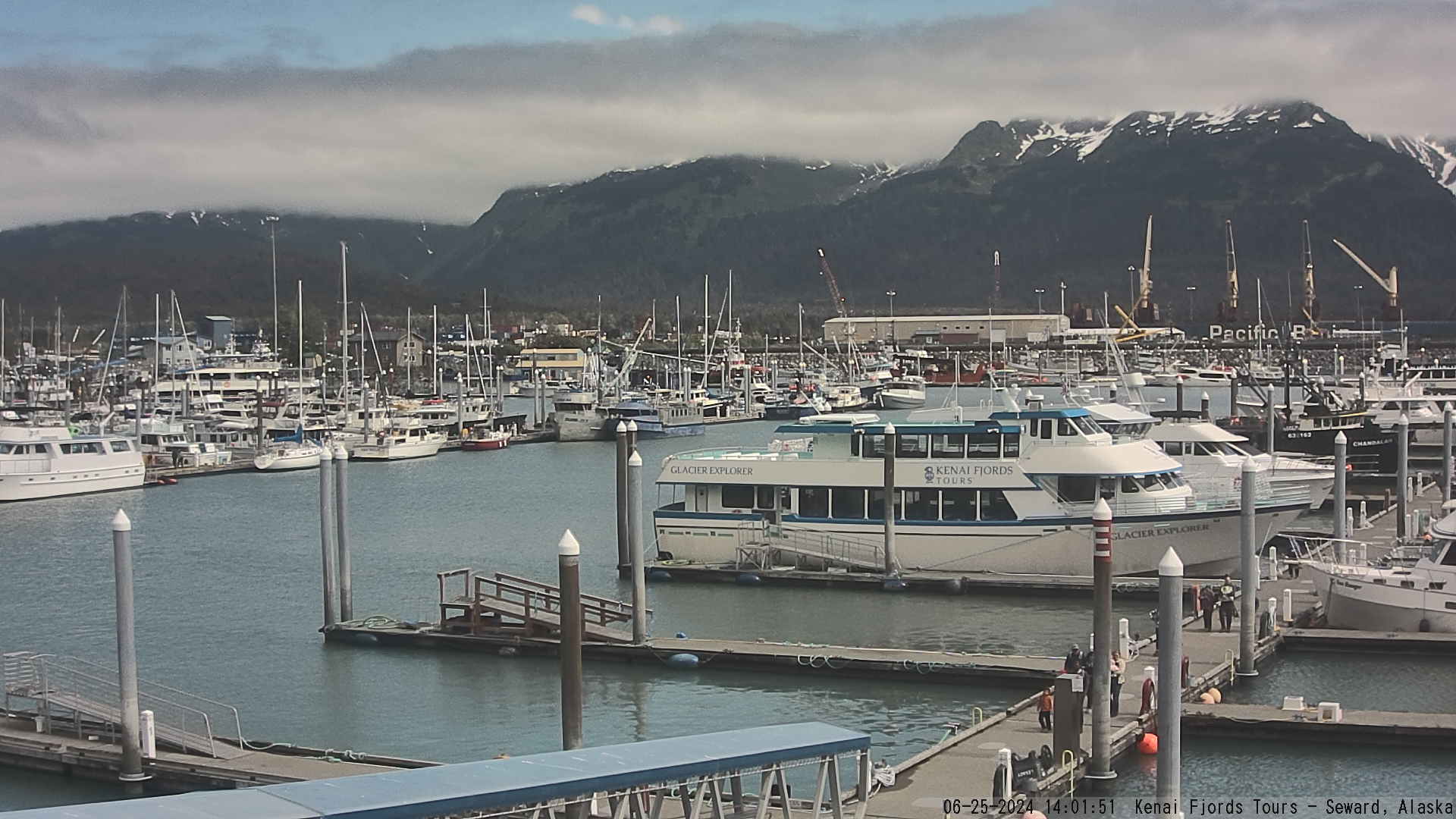 kenai fjords boat tour