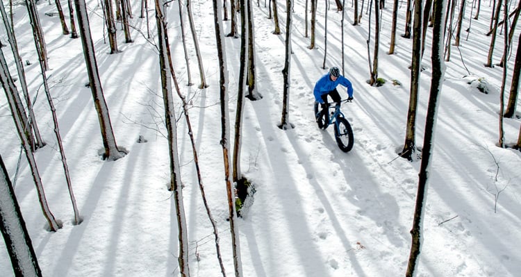 A person riding a fat bike through a snowy forest