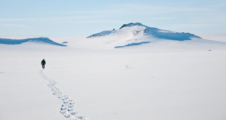 A person walking across an Arctic landscape