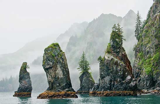 5 hr. Resurrection Bay Tour with Lunch