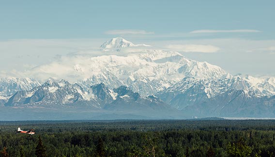 A small passenger plane flies over trees in front of Denali Mountain.