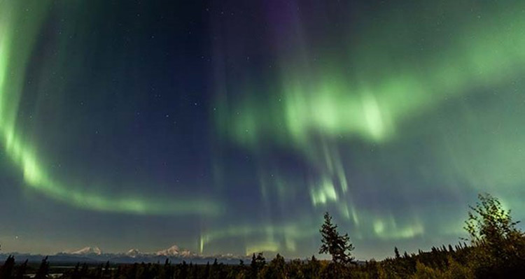 Aurora borealis (northern lights) over Denali, Alaska