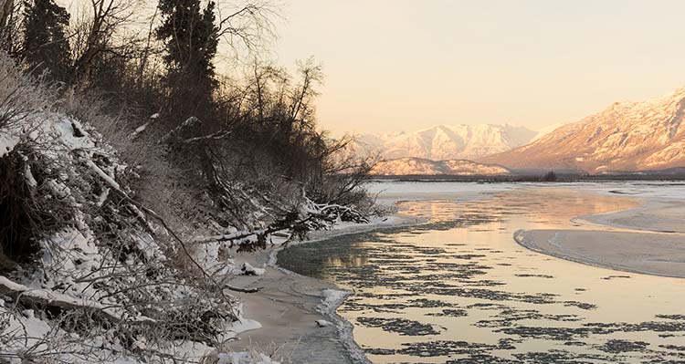An icy shoreline