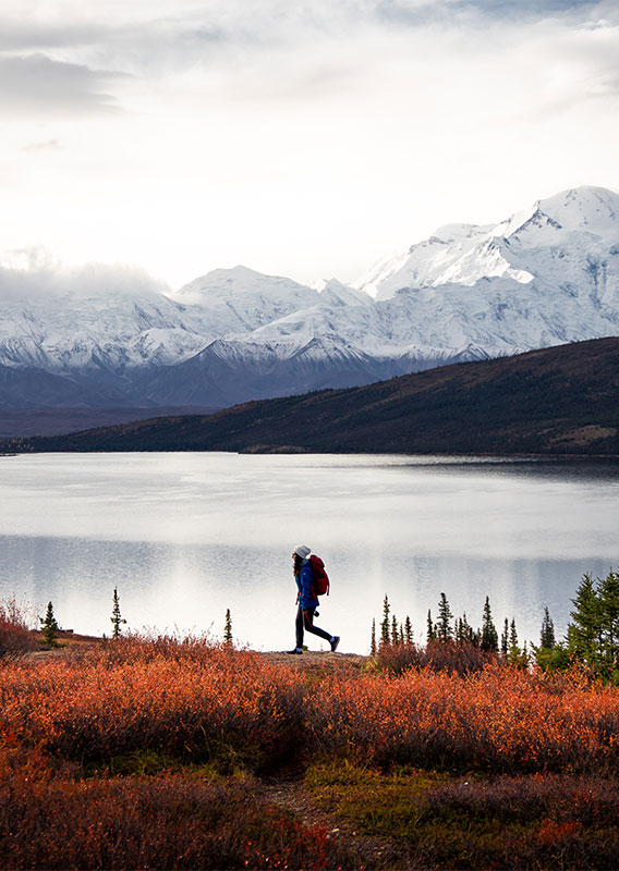 Walking in Denali
