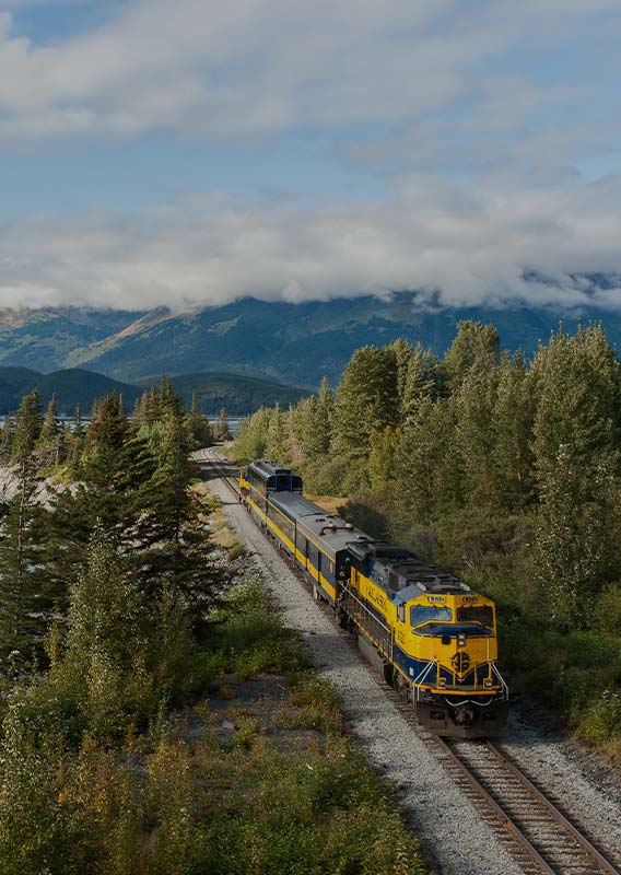 A yellow train passes through Alaskan wilderness.