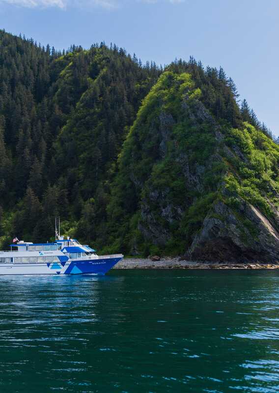 A sightseeing boat cruises past a forested mountainside.