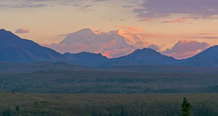 Denali Mountain and Denali National Park during sunset