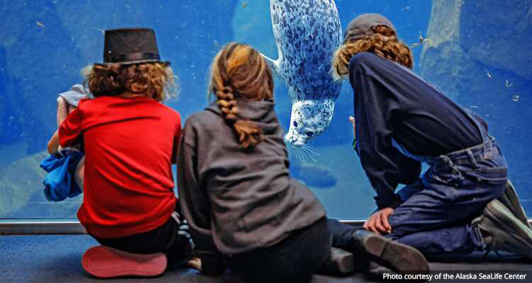 Kids watching a seal at the Alaska SeaLife Centre