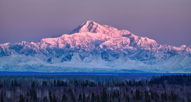 Denali Mountain (also known as Mt. McKinley) in the winter at sunrise