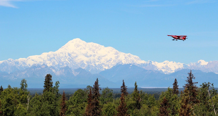 A plane flying over a forest with a view of Denali in the background.